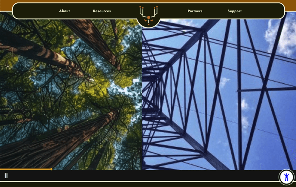Homepage with normal animations.